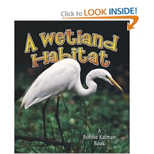 A Wetland Habitat (Introducing Habitats) by Molly Aloian and Bobbie Kalman