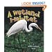 A Wetland Habitat (Introducing Habitats)