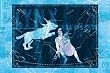 Art Poster, Lynx and Auriga #2 - 27.5 x 18.75