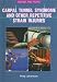 Book Carpal Tunnel Syndrome and Other Repetitive Strain Injuries (Diseases and People)