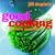 Good Cooking: The New Essentials