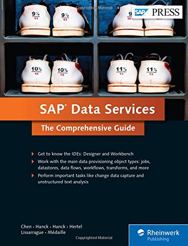 sap data services the comprehensive guide
