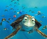 Finding Nemo (2 Disc Collector's Edition) [2003]