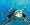 Finding Nemo (2 Disc Collector's Edition) [2003]