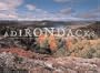 Adirondacks, Views of An American Wilderness