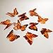 Butterfly 3D Translucent Decoration 15 ORANGE Butterflies