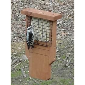 Looker Tail-Prop Suet Holder by Looker Inc