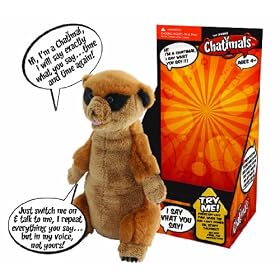 Peers Hardy Chatimal Meerkat