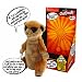 Peers Hardy Chatimal Meerkat