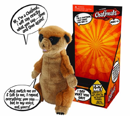Peers Hardy Chatimal Meerkat