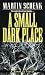 A Small Dark Place