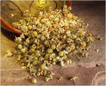 Chamomile Tea - 1 2 Pound Refill by TLC