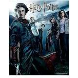 Visual Echo 3D Effect Harry Potter Goblet of Fire 500pc Lenticular Puzzle