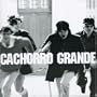 Cachorro Grande