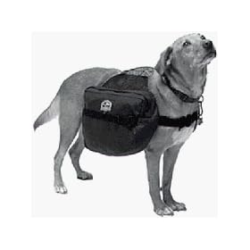 Adventure 16 Chief Dogpack