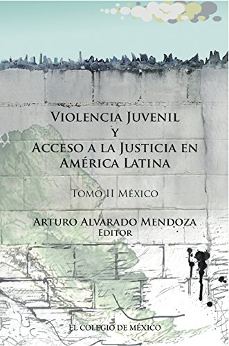 Violencia juvenil y acceso a la justicia. Tomo II. México (Spanish Edition)