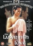 The Labyrinth Of Love [1995]