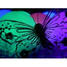 Fortune ProductsR-ORB Rainbow Orb LED Light, 3 1/4" Diameter