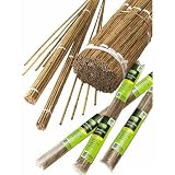 Bamboo Canes 1.5M (10)