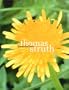 Thomas Struth: The Dandelion Room