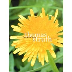 Thomas Struth: Dandelion Room
