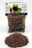 Certified Organic Radish Sprouting Seed: 1/4 Lb. (4 Oz.) of High Germination Radish Seeds for Planting, Gardens, Cooking or Sprouts: Radish Sprouts Are High in Vitamins A, B-1, B-6 and C, Folic and Pantothenic Acids, Niacin, Potassium, Iron and Phosphorous & Chlorophyll.