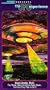 UFO Experience: Dr David Jacobs [VHS]