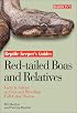 Red-tailed Boas and Relatives