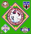 Negro BB League Museum 100% Cotton Afghan