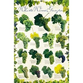 Wine Grapes - White Poster Print, 24x36