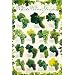 Wine Grapes - White Poster Print, 24x36