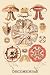 Art Poster, Jellyfish: Discomedusae #3 - 18.75 x 27.5