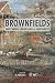 Book Brownfields: Multimedia Modelling and Assessment