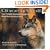 Once A Wolf: How Wildlife Biologists Fought to Bring Back the Gray Wolf (Scientists in the Field)
