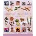 The Aromatherapy Bible: The Definitive Guide to Using Essential Oils