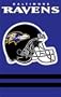 Baltimore Ravens Applique Banner Flag