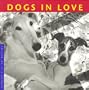 Dogs in Love