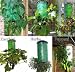 Topsy Turvy Tomato/Herb/Seed Upside Down Planter Kit
