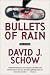 Bullets of Rain: A Novel of Suspense