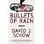 Bullets of Rain: A Novel of Suspense