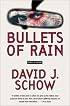 Bullets of Rain: A Novel of Suspense