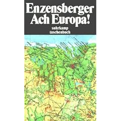 Ach Europa!: Wahrnehmungen aus sieben L�ndern. Mit einem Epilog aus dem Jahre 2006 (suhrkamp taschenbuch)