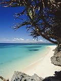 Beach on the North Coast of the Island of Boracay off the Coast of Panay, Philippines, Asia Art Photographic Poster Print by Robert Francis, 9x12