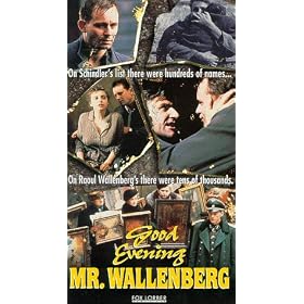 Good Evening, Mr. Wallenberg [VHS]