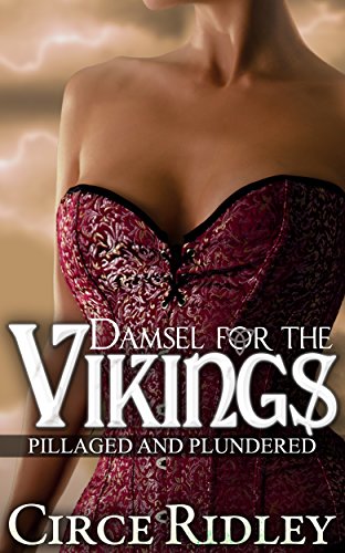 Damsel for the Vikings: Pillaged and Plundered (Historical Group Erotica)