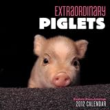 Extraordinary Piglets 2012 Mini Wall Calendar (Calendar Mini)