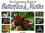 The fascinating world of butterflies & moths