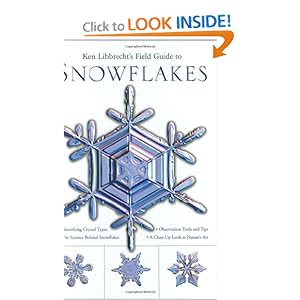 Ken Libbrecht's Field Guide to Snowflakes