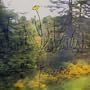 The Woods