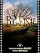 Big Fish: The Shooting Script (Newmarket Shooting Script Series)